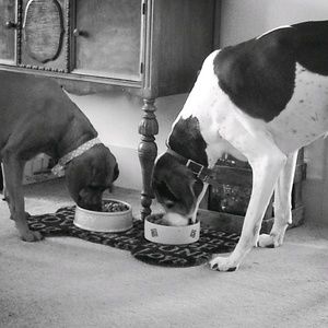 Meet your Posher, Vicky